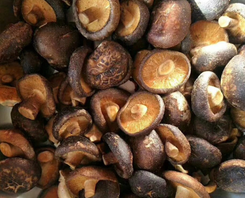 Vacuum frying machine manufactures in India